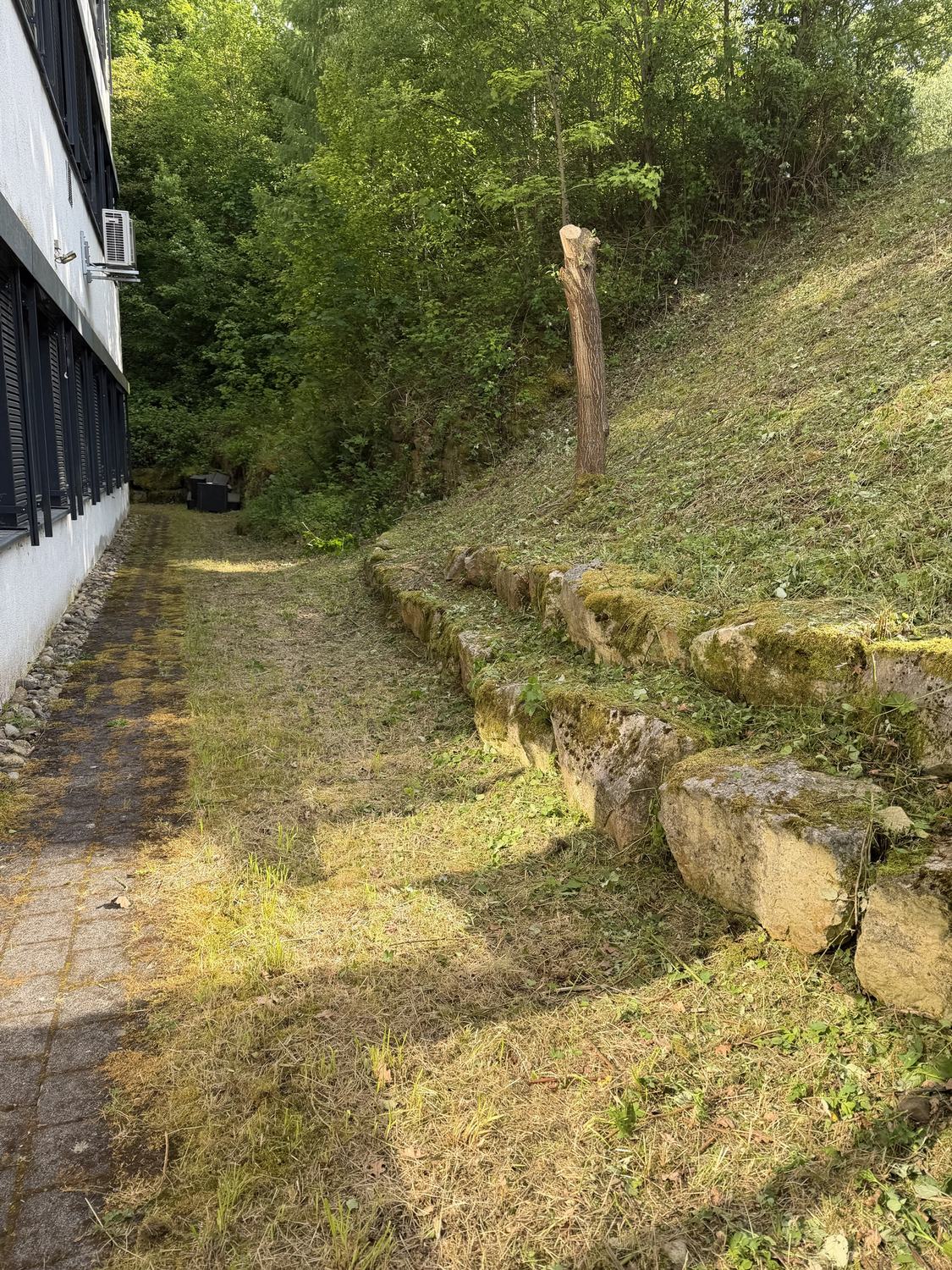 Gepflegter Hang neben einem Gebäude
