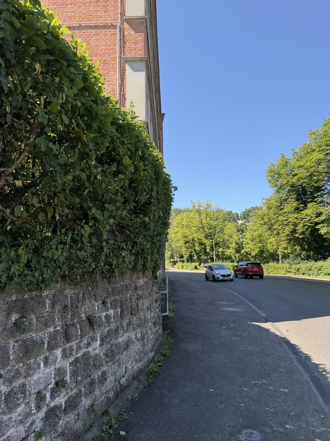 Geschnittene Hecke entlang einer Mauer