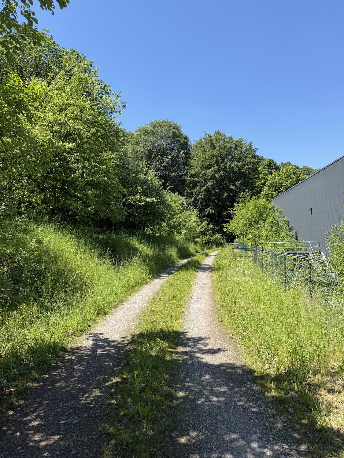 Gemähter Weg mit Grasstreifen