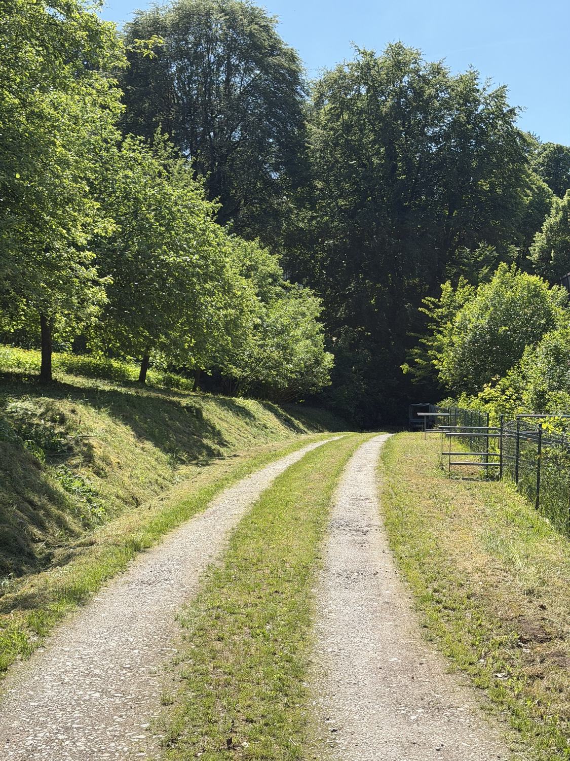 Weg mit gepflegten Rändern