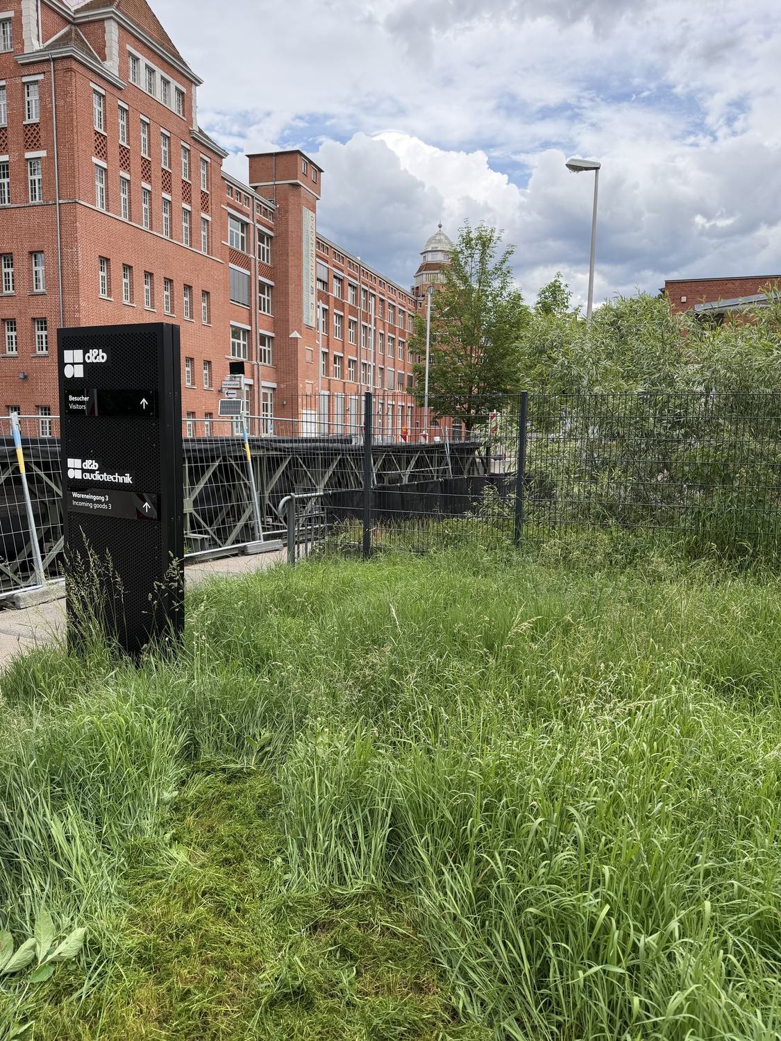 Hohes Gras vor einem Firmengebäude